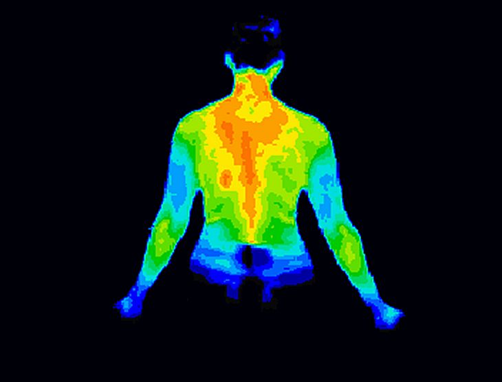 Rozkład ciepła w górnej partii ludzkiego ciała. Fot. Anita van der Broek/Shutterstock